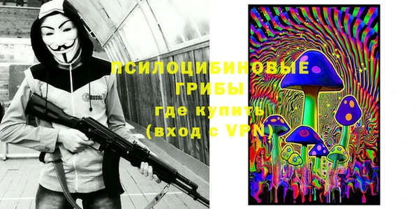 ешки Пересвет