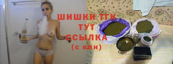 ешки Пересвет