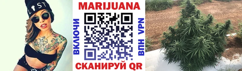 Бошки марихуана White Widow Оха
